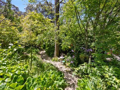 52 Wilpena Terrace, Aldgate