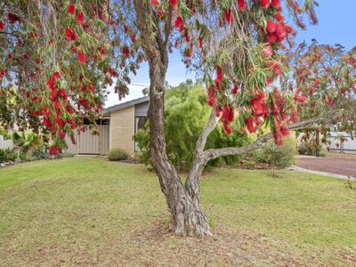 14 William Street, Finley