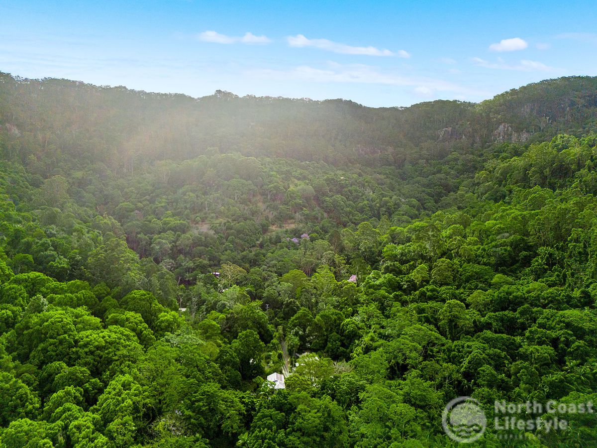 807 Left Bank Road, Mullumbimby Creek