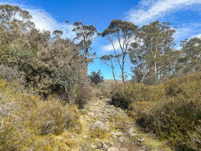 331L Arthurs Lake Road, Arthurs Lake