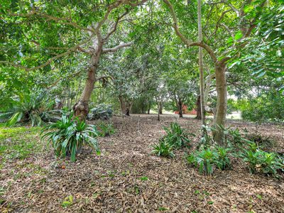 600 Mocatto Road, Acacia Hills