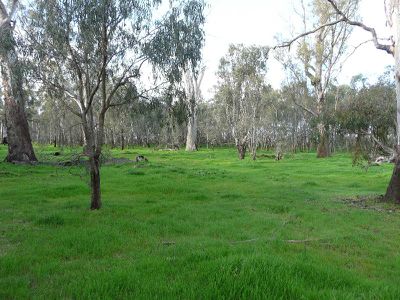 Tocumwal