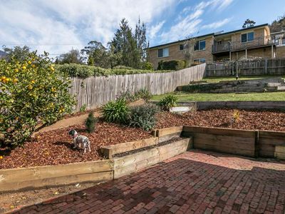 6 Syme Street, South Hobart
