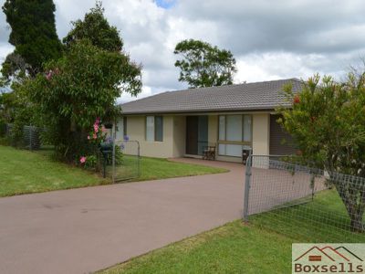 54 Palm, Maleny