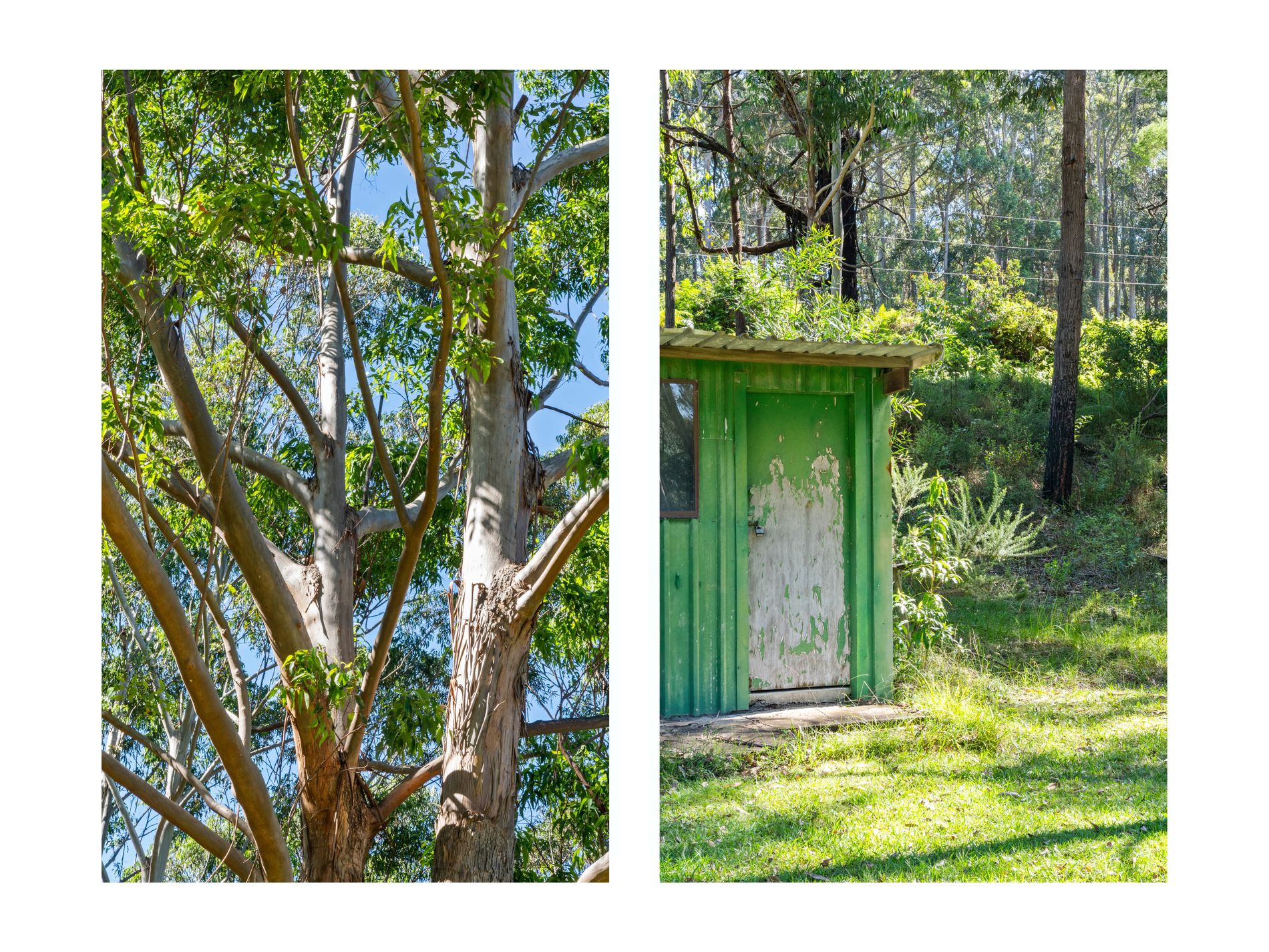 520 Monkey Mountain Road, Morton