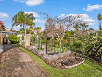 16 Semillon Avenue, Henderson