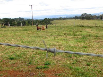 Butchers Creek