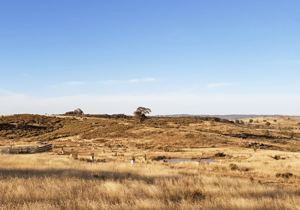 660 Kerrs Creek Road, Kerrs Creek