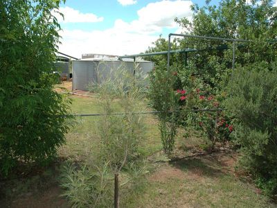 Lot 5 The Coolibahs, Longreach