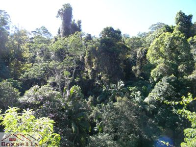 Maleny