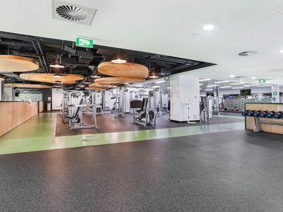 8 Park Lane, Chippendale