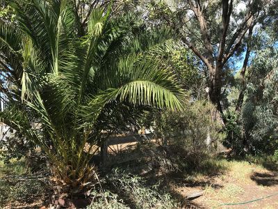 39 Chester Street, Barham