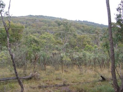 2152 Emmaville Road, Glen Innes