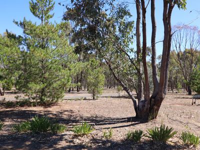 169 Wappentake Road, Heathcote