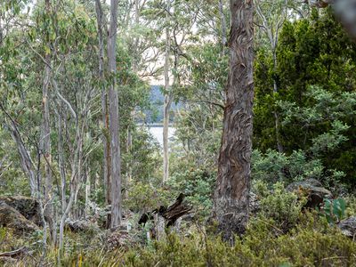 'Hardings Bay Retreat', Lake Leake Road, Lake Leake