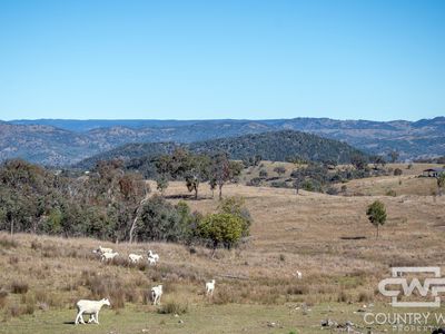 Lot 12, 212 Mole Station Road, Tenterfield