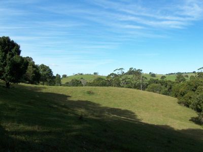Maleny