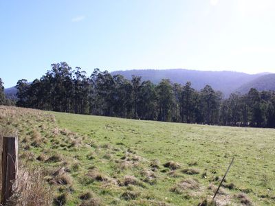 Lot 10, Lonnavale Road, Lonnavale