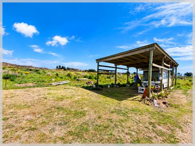 0 Bergin, Foxton