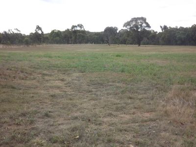 Glen Innes Road, Emmaville