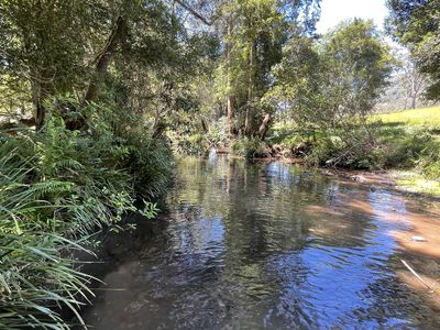 Lot 131 Bunnoo River Road, Ellenborough