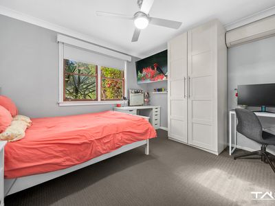 11 Crestbrook Street, Seven Hills