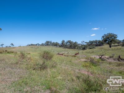 Lot 52, 2202 Wellington Vale Road, Emmaville