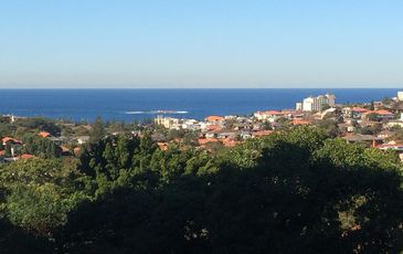 93 / 244 Alison Road, Randwick
