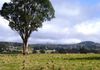 1083 Forest Road, Orange