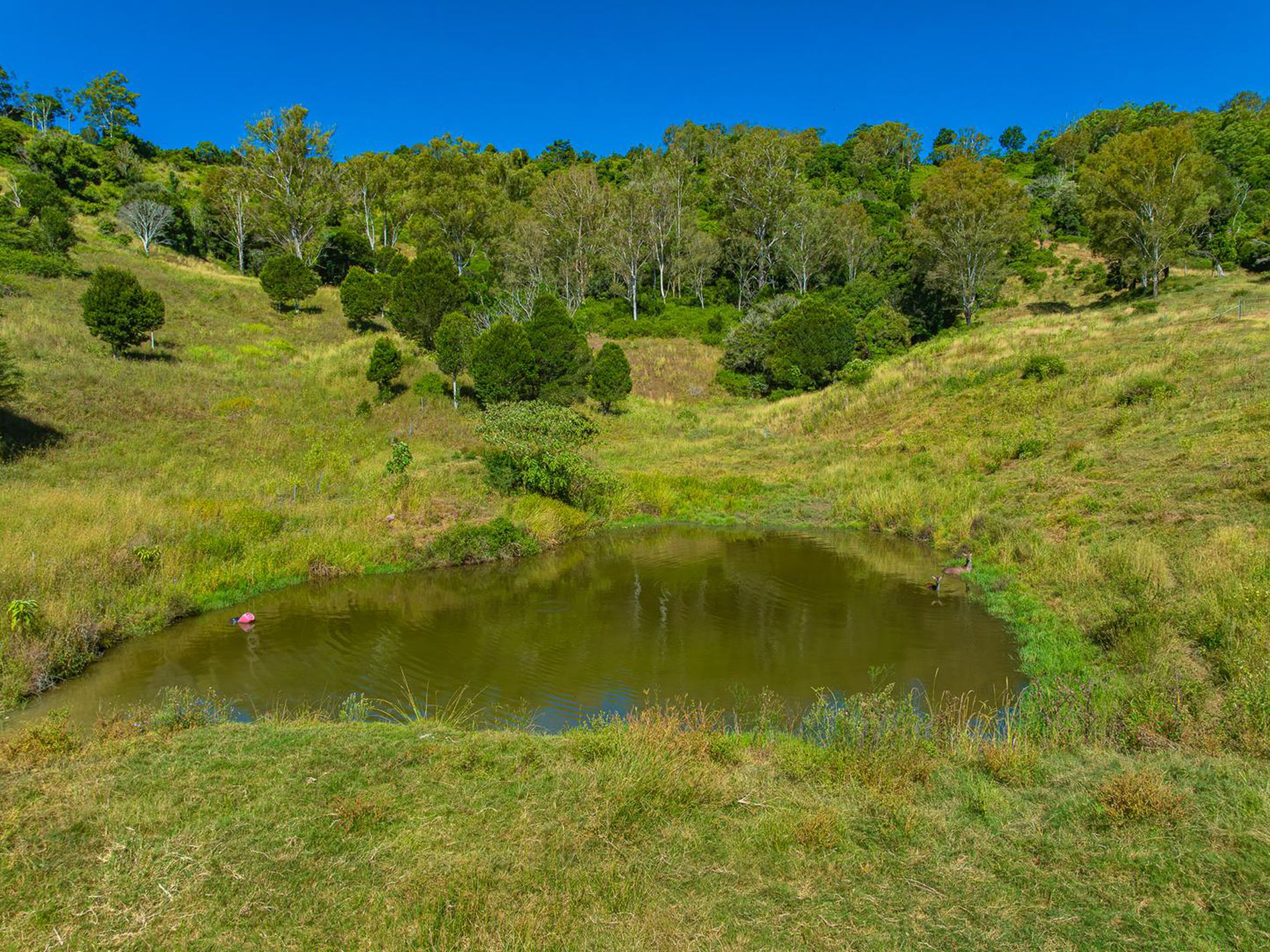 343 Walli Mountain Road, Kenilworth