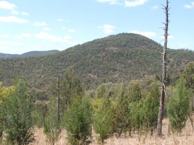 Lot 8 Rocky Creek Road, Bonshaw