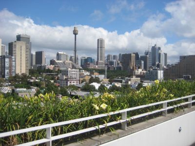 722 / 50 Burton Street, Darlinghurst