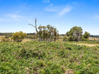 171 Boongarra Road, Laggan via, Crookwell