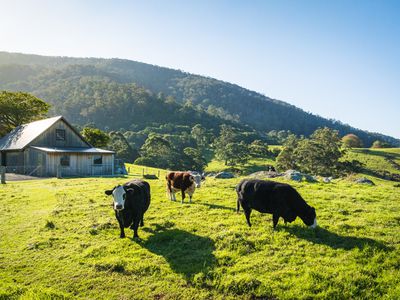 49 Mount Dromedary Trail, Tilba Tilba