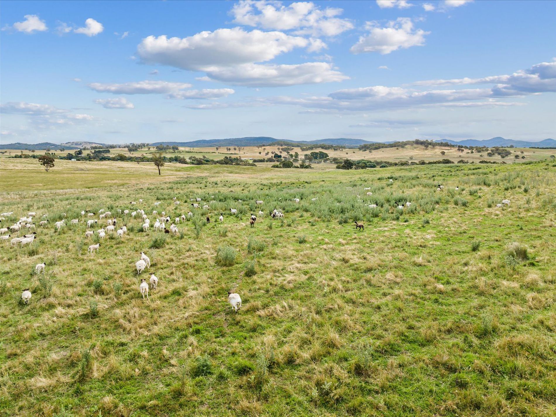 4436 Jerangle Road, Captains Flat