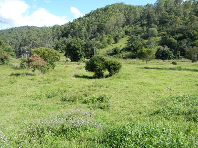 301 Harpers Creek Road, Conondale