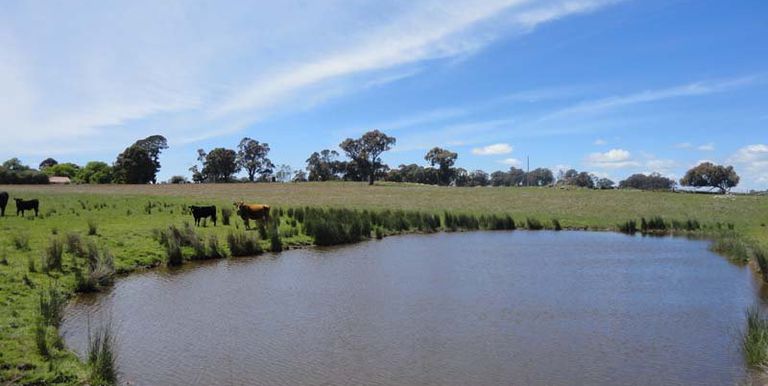 6 Creamery Road, Ruffy