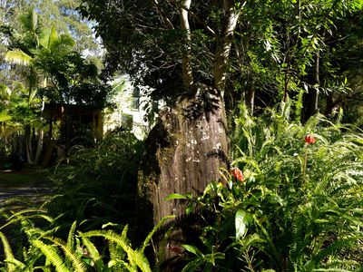 1 / 4  Wallaby Road, Nimbin