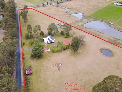 19 Mooral Creek Road, Cedar Party
