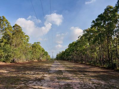 1698 Endeavour Valley Road, Cooktown