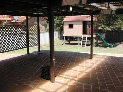 Blackbutt