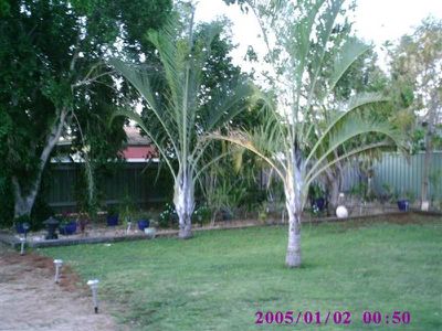 7 Catamore Court, South Hedland