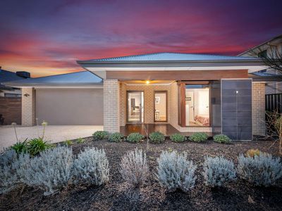 10 Haflinger Avenue, Clyde North