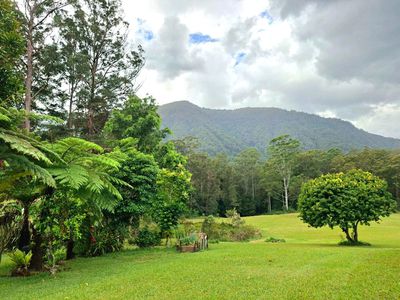 Nimbin