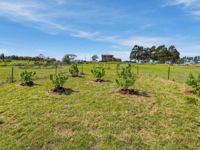 330 Sugarloaf Road, Carlton River