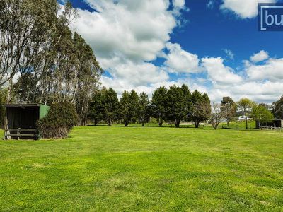 947 Yackandandah-Wodonga Road, Staghorn Flat