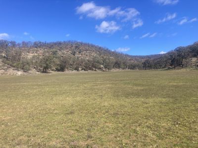 1950 FLAGGS ROAD, Gungal