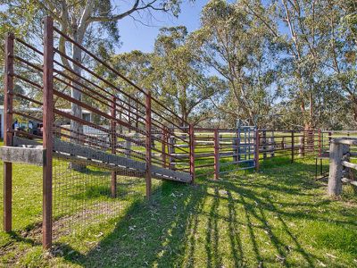 310 Young Road , Baldivis