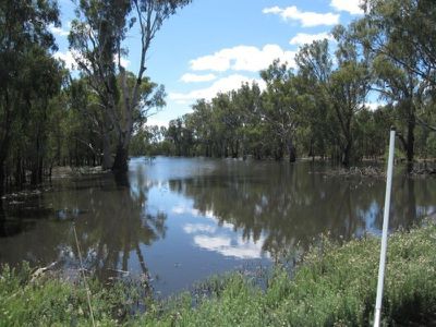Tocumwal