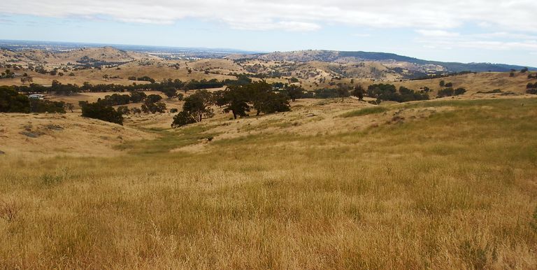 1209 Euroa Strathbogie Road Kelvin View, Euroa